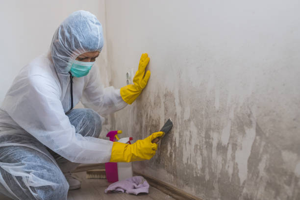 Water Damage Restoration in Cottleville, MO